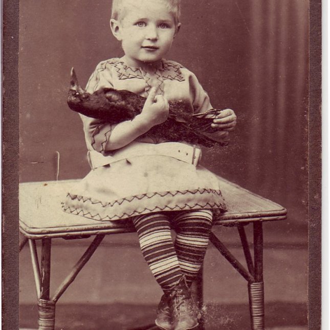 Sveinn Benediktsson, bróðir Bjarna (Ljósmynd Gunhild Thorsteinsson Hverfisgötu Rvk ©  Einkasafn Guðrúnar Bjarnad