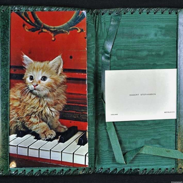 Mappa. Inniheldur kort með mynd af kettlingi og nafnspjald Eggerts Stefánssonar. Líklega hefur Eggert gefið Bjarna þessa möppu sem gæti verið ítölsk.