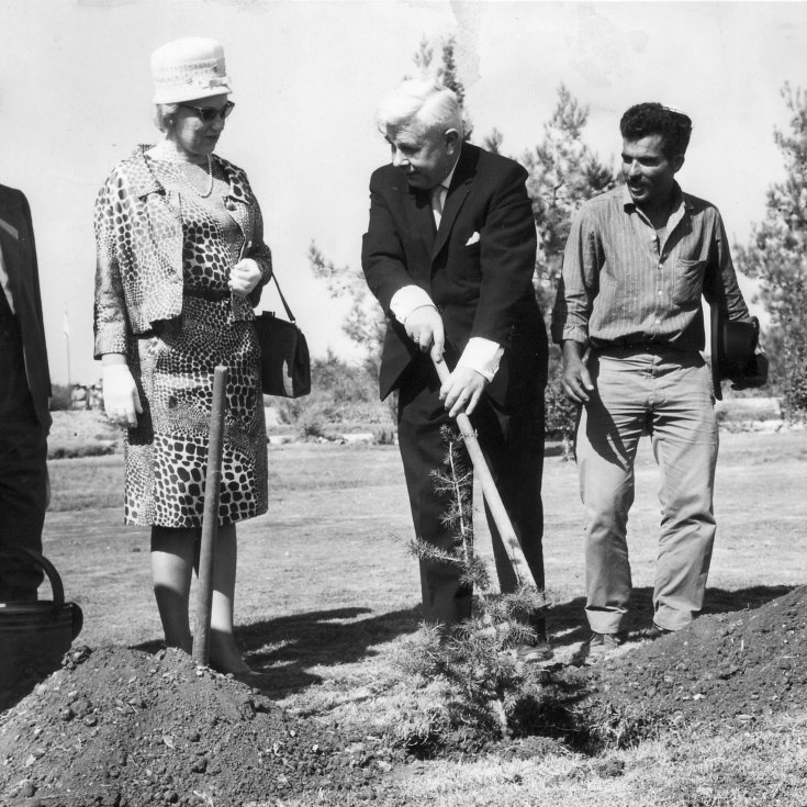 Bjarni plantar tré í hæðum Jerusalem Israel