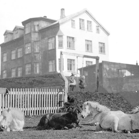 En ungu hjónin stóðu ekki lengi við í Ásbyrgi. Árið 1918 fluttu þeir bræður, Ólafur, Kjartan, og Haukur ásamt fjölskyldum sínum í nýbyggt þriggja hæða stórhýsi við Grundarstíg. Húsinu fylgdi stór lóð með hesthúsi og hlöðu því enn var bílaöld vart hafin. Mynd: Hús Thorsbræðra að Grundarstíg 24 stendur enn, mikið breytt.