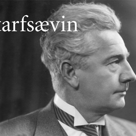 Starfsævin, myndasaga.