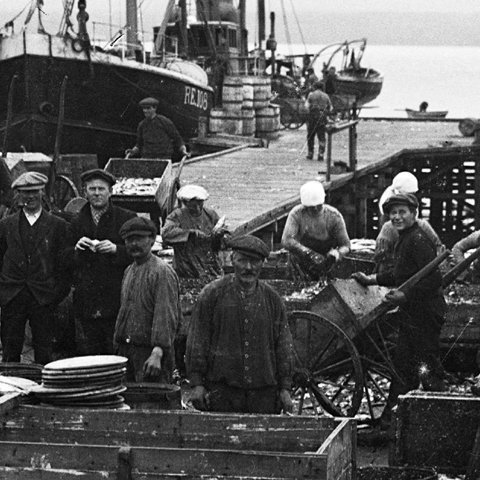 Um sumarið höfðu þeir Ólafur og Richard bróðir hans umsjón með síldarsöltunarplássi, sem Kveldúlfur tók á leigu norður á Akureyri. Ári síðar var Ólafur orðinn framkvæmdastjóri hjá fjölskyldufyrirtækinu, öll áform um framhaldsnám erlendis voru rokin út í veður og vind. Mynd: Síldarsöltun á vegum Thors Jensens á Svalbarðseyri 1916.