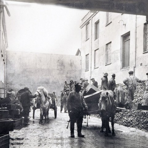 Á fyrsta árinu átti Kveldúlfur aðeins einn togara  en keypti og verkaði fisk af öðrum skipum. Byggð var upp saltfiskverkun í Reykjavík og nágrenni.