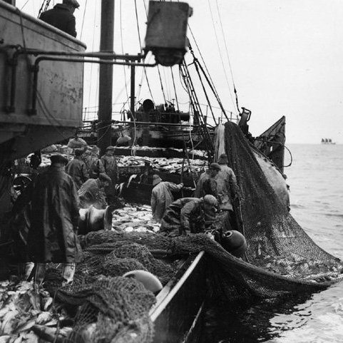 Ólafur var sjávarútvegsráðherra árið 1952 þegar annað stórmál komst á dagskrá: Útfærsla fiskveiðilögsögunnar. Fyrsta skrefið var stigið með því að færa þriggja mílna lögsögu út í fjórar árið 1952 og loka fjörðum og flóum fyrir botnvörpuveiðum. Þessi aðgerð mætti mikilli andstöðu annarra þjóða og settu Bretar löndunarbann á íslenskar fiskafurðir.