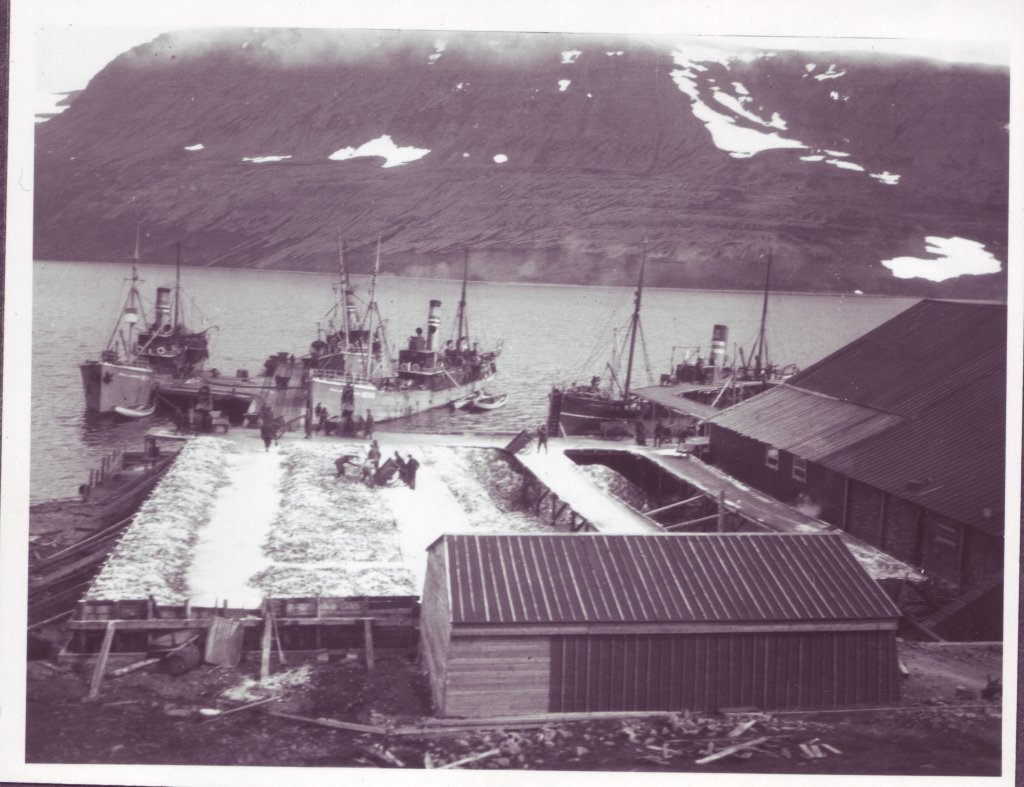 tjen.plass-03.jpg