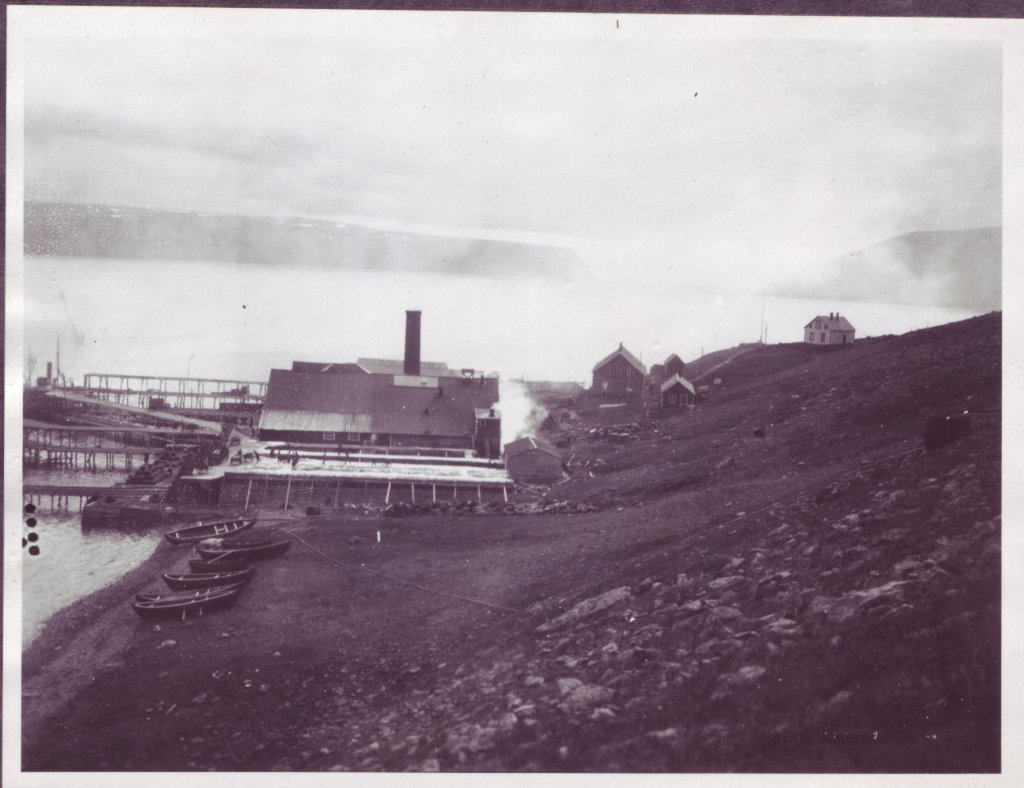 tjen.plass-05.jpg