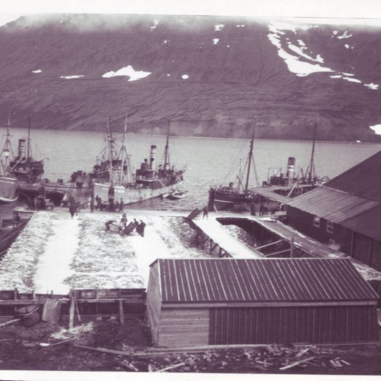 Kveldúlfstogarar og fiskbreiður.