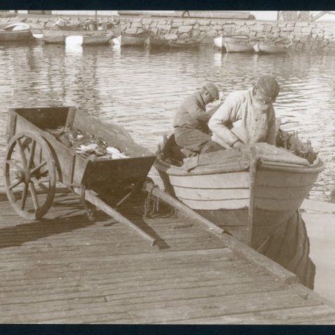 vela_reykjavik_00002
