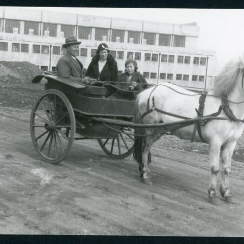 vela_reykjavik_00052