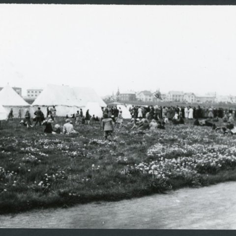 vela_reykjavik_00141