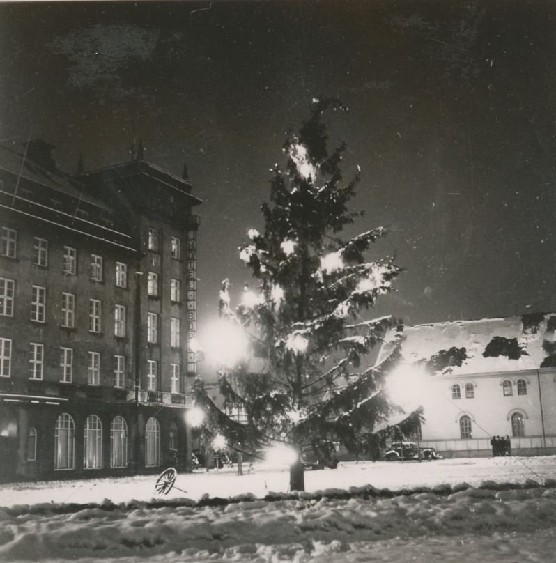 Jólatré á Austurvelli 1946-1952.