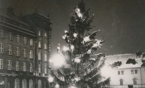 Jólatré á Austurvelli 1946-1952.