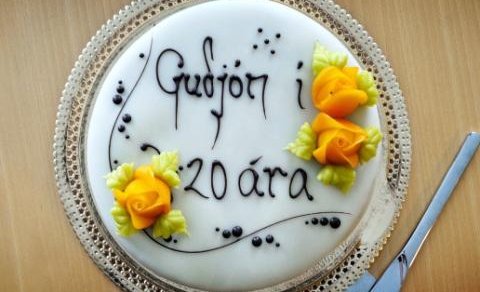 Tuttugu ár á skjalasafni