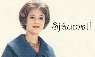 Fjölbreytt dagskrá á menningarnótt á Borgarskjalsafni